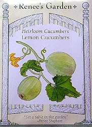 Heirloom Lemon Cucumber Seeds 35 Seeds