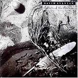 Secrets of the Beehive (Dlx)