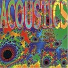 Acoustics by Henry Kaiser