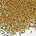Indus Organics Cumin Seeds Whole (Jeera), 1 Lb Jar, Premium Grade, High Purity, Freshly Packed