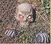 Groundbreaker Decayed Copse 3 Pc Horror Halloween Prop