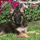 Eigenschaften Avonside Publishing Ltd.  / Kalender 2009 German Shepherd - Deutscher Schäferhund - Welpe - Puppie