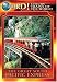 Luxury Trains of the World: The Great South Pacific Express
