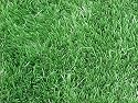 Premium Synthetic Turf. Size 5' X 5', 46oz. Rubber Backed with Drainage Holes.