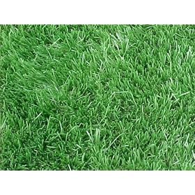 Premium Synthetic Turf. Size 5' X 15', 46oz. Rubber Backed with Drainage Holes.
