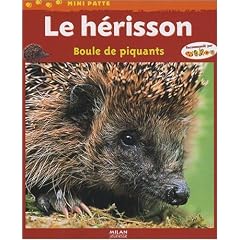 Le h�risson : Boule de piquants