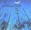 Orinoco Flow: The Music of Enya