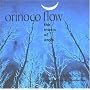 Orinoco Flow: The Music of Enya