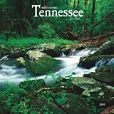 Tennessee, Wild & Scenic 2009 Square Wall Calendar