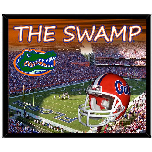 Racing Reflections Florida Gators 8 X 10 Stadium Design Mylar Framed Photo Logo Wall Hanging