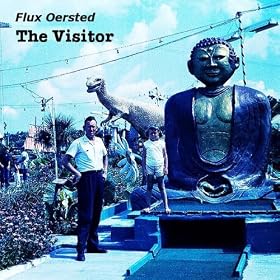 The Visitor