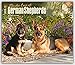 German Shepherds, For the Love of 2016 Deluxe (Multilingual Edition)