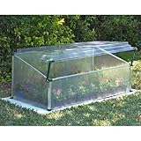IMAGE OF Single Cold Frame