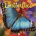 Search : Butterflies