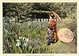 1921 Print Hori Kiri Japan Iris Garden Paper Umbrellas Sakamoto Photography - Original Color Print