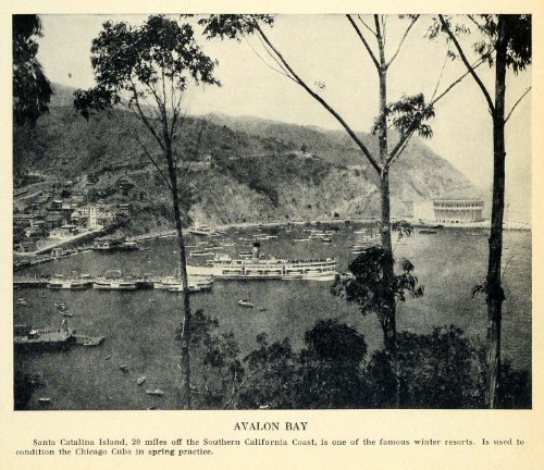 1931 Print Avalon Bay Ships Santa Catalina Island California Chicago Cubs Train - Original Halftone Print