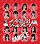 AKB48きせかえシールブック チームA