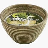 Outdoor Interiors 50580 Citronella Candle Bowl