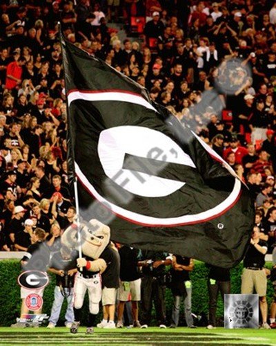 Georgia Bulldogs Mascot 2008 Art Poster PRINT Unknown 8x10