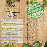 Organic LIP BALM (4-Pack) Minty Variety Pack by BeeNakedBalm - All-Natural Ingredients - Gluten-Free, Non-GMO, Lifetime Warranty! - Includes Peppermint Spearmint & Eucalyptus Mint Flavors