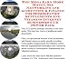 Book The Mega Earn More Money, Biz Networking and Accounting & Finance for Homeopathic Supplements And Vitamins Internet Businesses 3 CD Power Pack