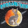 Run, Rabbit, Run [VINYL]
