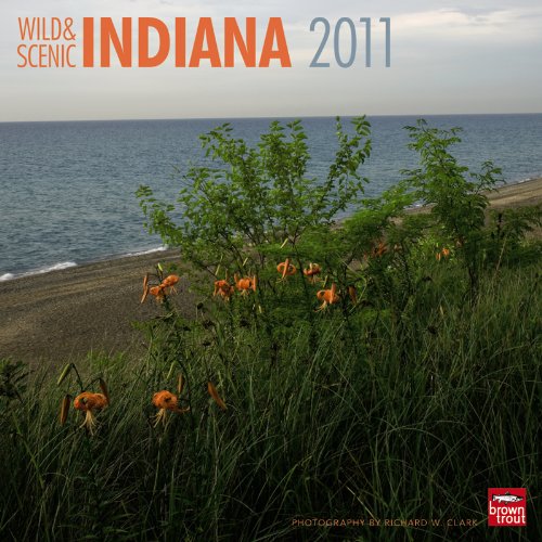 Indiana Wild & Scenic 12X12 Wall