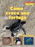 Como crece una tortuga / A Turtle Hatchling Grows Up (Scholastic News Nonfiction Readers En Espanol)