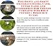 Search : The Down and Dirty Generate Extra Cash, Inner Game and eCommerce for Trendy Curtains Web Biz 3 Course + Resource Guide