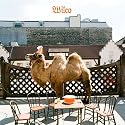 Wilco [The Album]