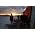 Thumbnail image of Isis