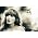 Miniaturansicht von Florence + The Machine
