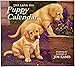 Lang Puppy 2016 Wall Calendar by Jim Lamb, January 2016 to December 2016, 13.375 x 24 Inches (1001937)