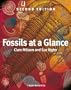 Fossils at a Glance