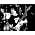 Vignette de Gary Moore