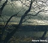CD Baby Compilation: Natural Beauty