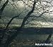 CD Baby Compilation: Natural Beauty