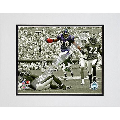 Photo File Baltimore Ravens Ed Reed Matted Photo