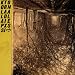 Best Vocal Alt.Music of 2010 (first quarter contenders)