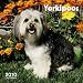 Yorkipoos 2010 Square 12X12 Wall Calendar by Browntrout
