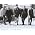 Vignette de The Beach Boys