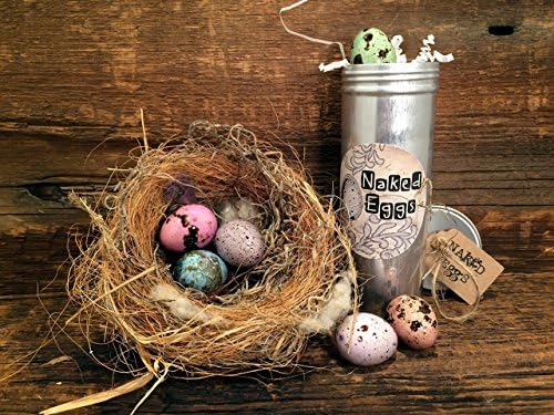 Half Dozen Quail Eggs Dyed and Glazed in Decorative Tin, Customize with addition of NEST