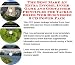 Search : The Best Make An Extra Income, Inner Game and Godfather Principles for Tackle Boxes Web Businesses 3 CD Power Pack
