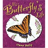It's a Butterfly's Life