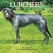 Lurchers 2009 Square Wall Calendar