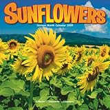 Sunflowers 2009 Wall Calendar 12 X 12