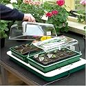 Maxi Fixed Temperature Propagator