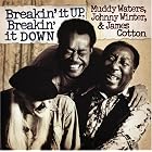 Breakin' It Up and Breakin' It Down by  Muddy Waters 
