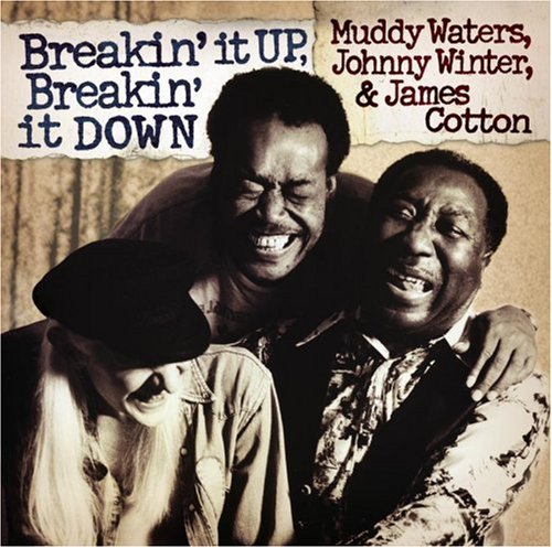 Muddy Waters - Breakin