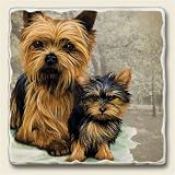 Coaster Set ~ Yorkshire Terrier ~ 4 Tumbled Stone Drink Coasters